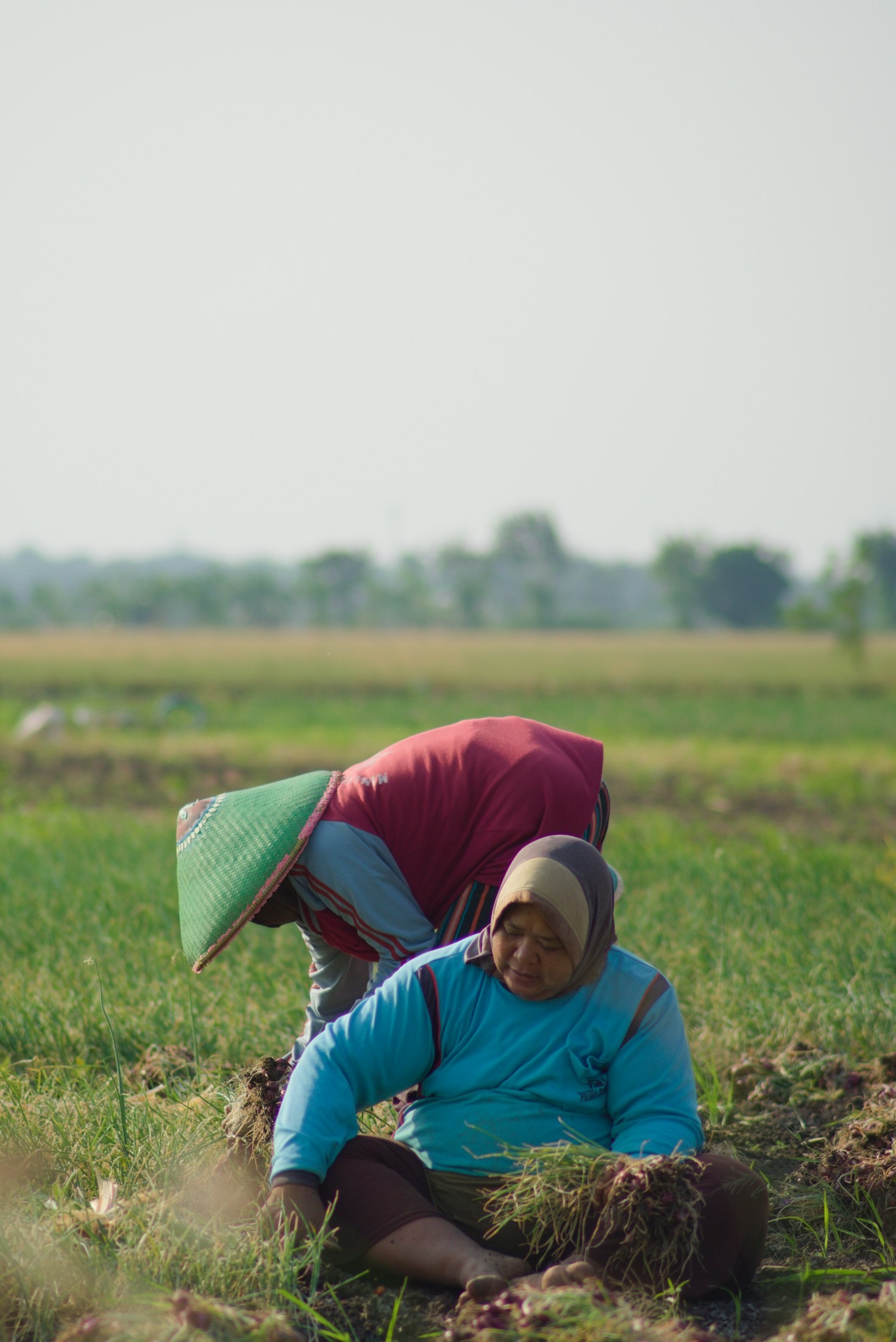 The Role of Climate Resilience in Community Development